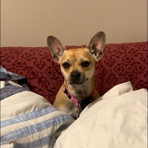 Meet your Posher, Sarah